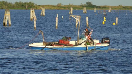 Muschelfischer od. Farmer